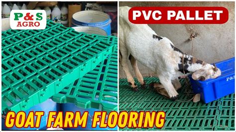 PVC Pallets Flooring for Goat Sheep Farming | ☎️9372483566 Use & Full ...