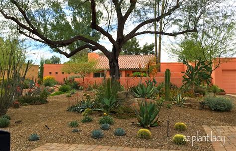 beautiful_southwest_landscape - Ramblings from a Desert Garden