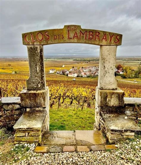 Kick Start Your Trip to Bourgogne with a Quick Primer to the Essentials