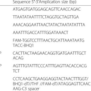 Comparisons between results of real-time RPA and real-time PCR on ...