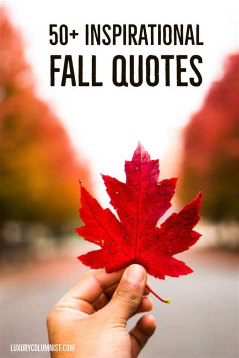 85+ Inspirational Fall Quotes | Short, Happy And Funny Autumn Sayings