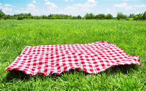 Summer Treat: Tips for a Perfect DIY Picnic