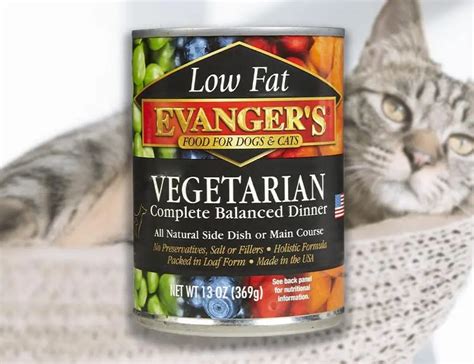 Vegan Cat Food: Guide To Sustainable Feline Diet