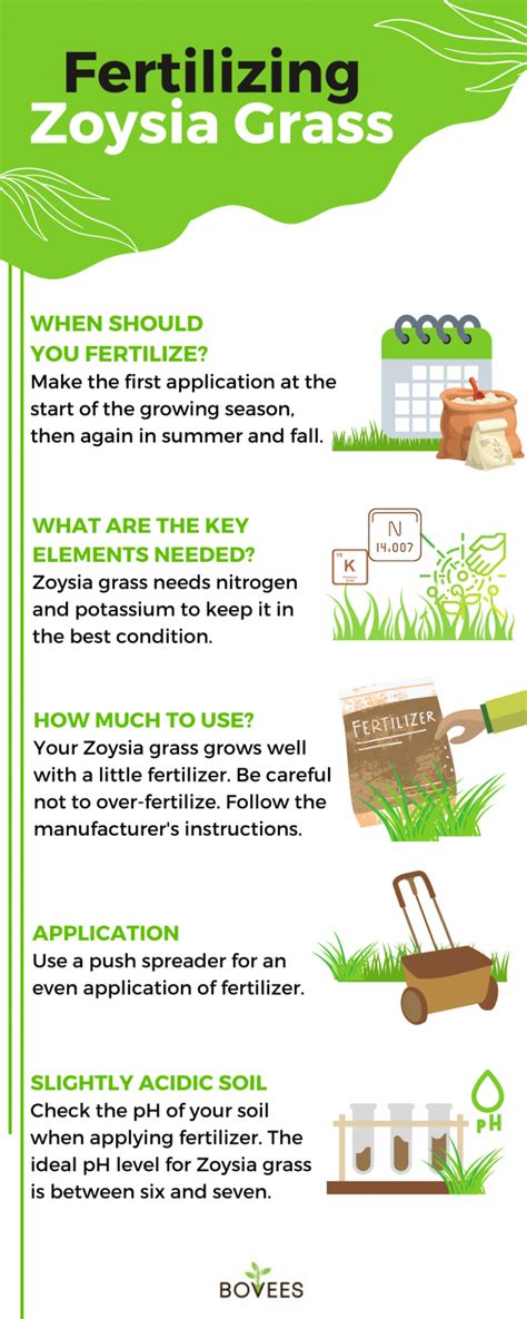 Best Fertilizer For Zoysia Grass