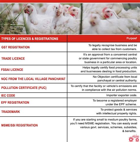 How to Do Poultry Farming Business? Cost & Profit Explained