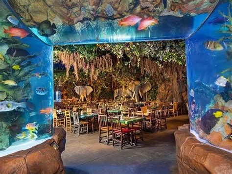 Rainforest Cafe At Disney Springs Marketplace | A Complete Guide ...