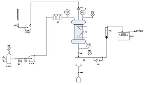 Schematic representation of SAF process | Download Scientific Diagram