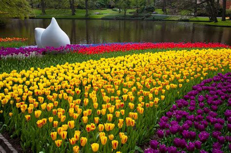 Keukenhof Park Free Stock Photo - Public Domain Pictures