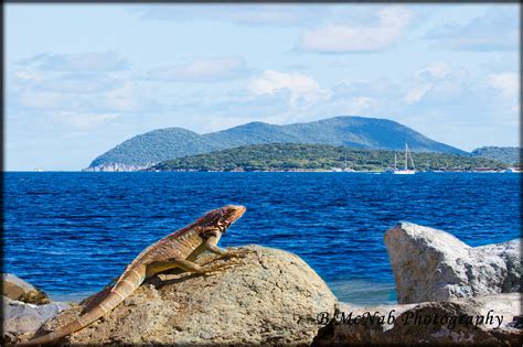 St Johns US Virgin Islands on Behance