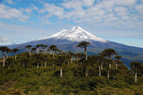 Llaima volcano, Conguillio National Park. Chile www.selectlatinamerica ...