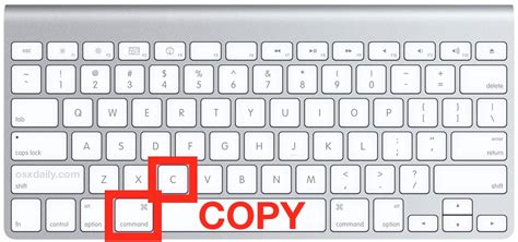 How to highlight and copy text on a macbook pro - casterdelta