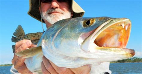 Mississippi Gulf Coast Fishing Reports & Forecasts - Coastal Angler & The Angler Magazine