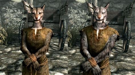 Skyrim races guide