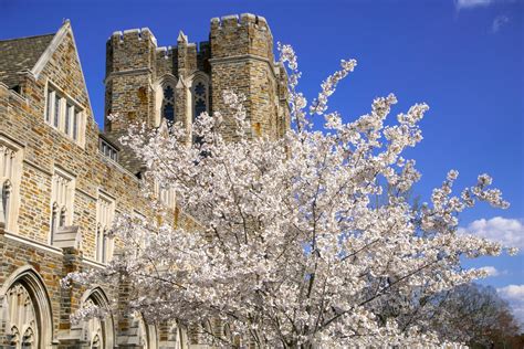 Duke Student Affairs