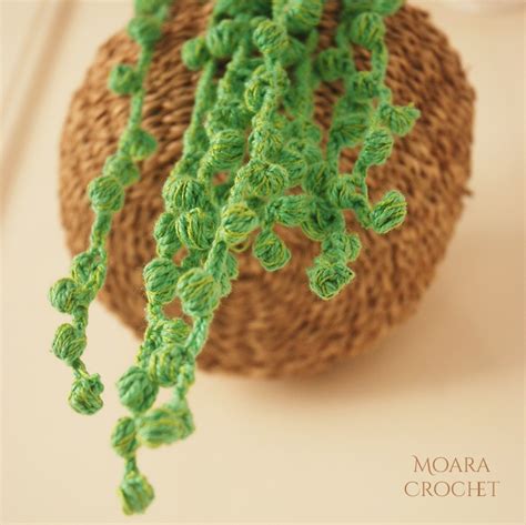 Crochet Succulent String of Pearls| Free Pattern - Moara Crochet