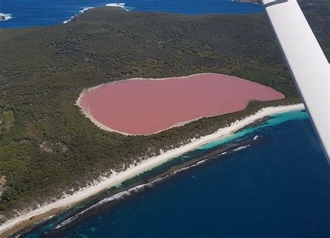 Pink Lake (Esperance) - 2020 All You Need to Know BEFORE You Go (with ...