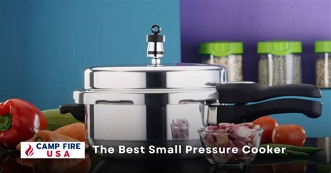 The Best Small Pressure Cooker For You In 2023 & Buying Tips