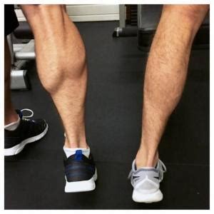 The role of genetics in the development of calf muscles • Bodybuilding ...