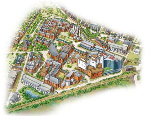 UVA Campus Illustrated Map - Illustrated Maps by Rabinky Art, LLC