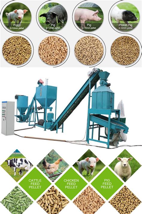 Ghim trên Animal Feed Pelleting Process Production Line