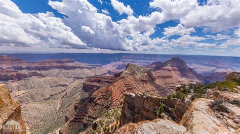 Cape Royal Trail / North Rim | ProArtInc