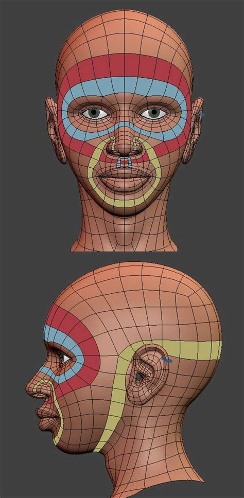 64 best Reference - 3d Modeling Topology Wireframes images on Pinterest | Modeling, Wireframe ...