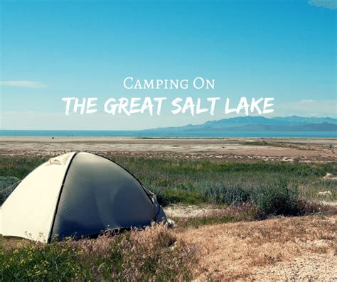 Camping On The Great Salt Lake | Buddy The Traveling Monkey