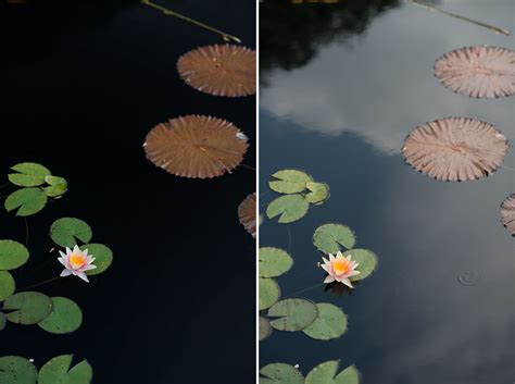 Polarizing Filter Comparison | A "circular polarizing filter… | Flickr