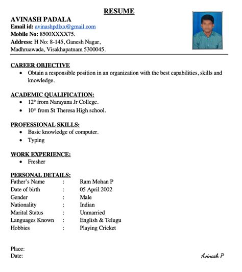 Job Resume Sample Download