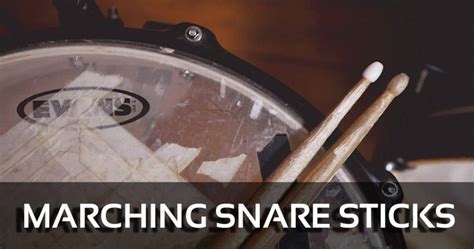 The 5 Best Marching Snare Sticks Reviews