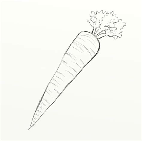 How to Draw a Carrot | FeltMagnet