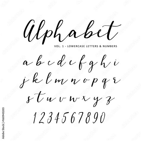 Hand drawn vector alphabet. Script font. Isolated letters written with ...