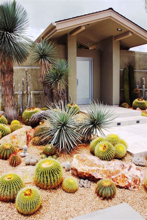 Beautiful Cactus Landscaping Ideas For Your Front Yards Decor 26 ...