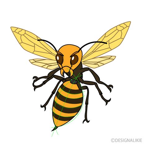 Aggressive Wasp Clipart Free PNG Image｜Illustoon