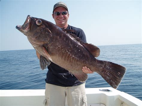 Record Fish | Healthy Grin Sport Fishing