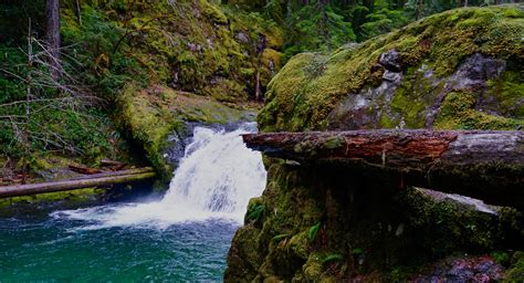 Cow Creek Tribe Signs Co-Management Agreement with Umpqua Nat'l Forest - Cow Creek Band of ...