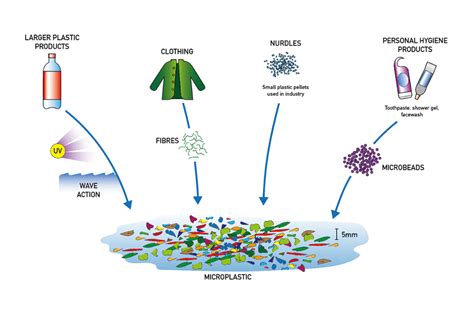 What are microplastics and where do they come from? | Encounter Edu ...