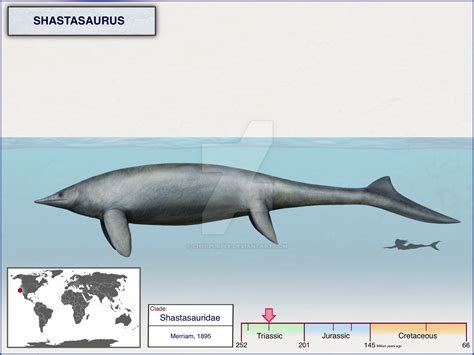 Shastasaurus by cisiopurple on DeviantArt