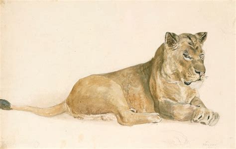 A lioness | Works of Art | RA Collection | Royal Academy of Arts