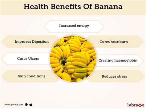 Banana Benefits And Its Side Effects | Lybrate