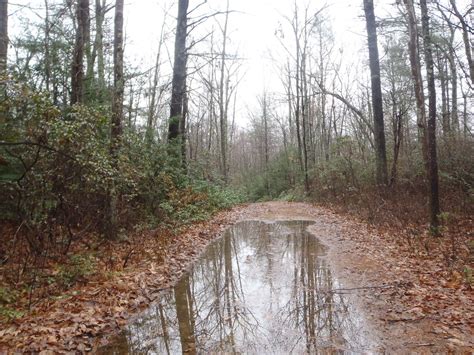 Durfee Hill Management Area, Glocester, Rhode Island | Flickr