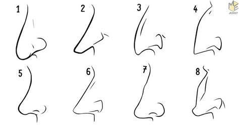 Here Is What the Shape of Your Nose Reveals About Your Personality – Winkgo Greek Nose, Hooked ...