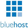 bluehost-logo | Endless Icons