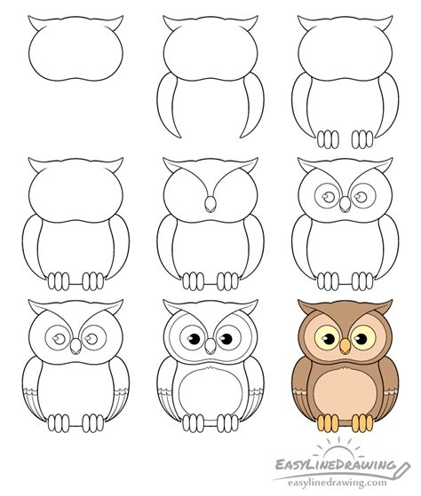 Realistic Owl Drawing Step By Step