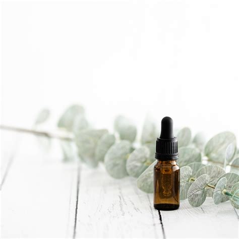 5 Eucalyptus Oil Benefits for Skin Healing - Discover the Power of ...