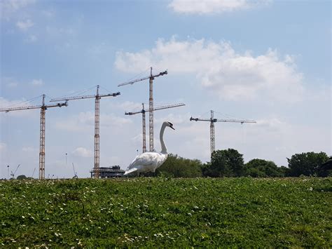 Noticing the infrastructure: Walthamstow Wetlands | Fearghus Ó Conchúir