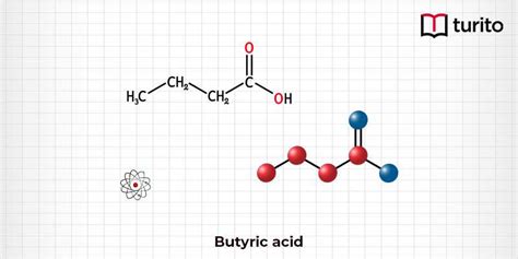 Butyric Acid - Definition, Structure, Properties | Turito