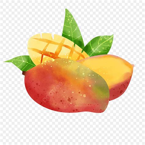 Mango Fruit PNG Transparent, Fruit Watercolor Mango Paint Tropical Fruit, Watercolor, Mango ...