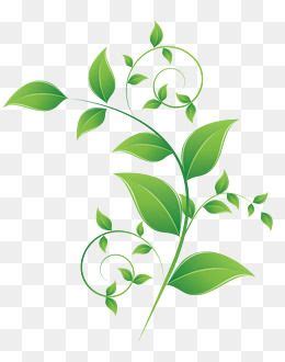 2020 的 Green Leaf Vector, Tea Pattern, Decorative Pattern, Leaf Pattern PNG and Vector with ...