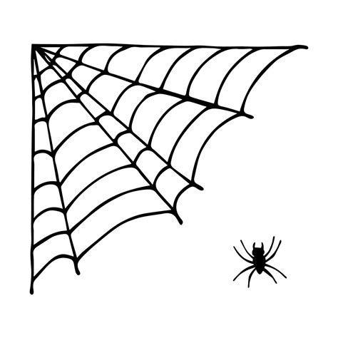 Simple hand drawn spider web illustration. Cute gossamer clipart ...